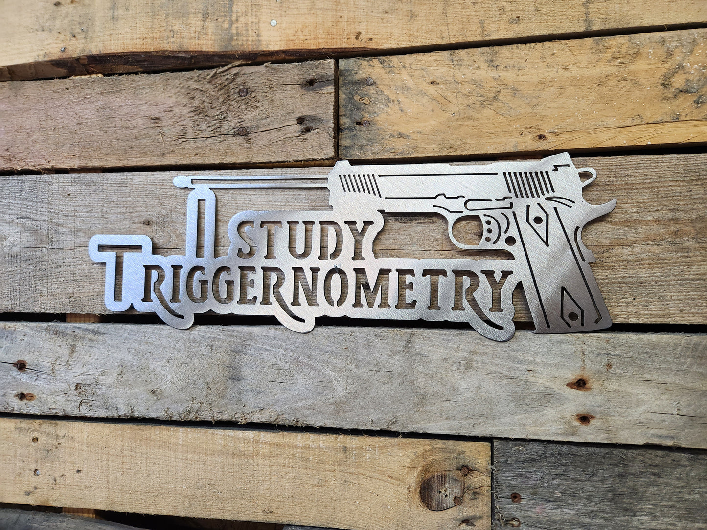 I Study Triggernometry Funny Gun Sign